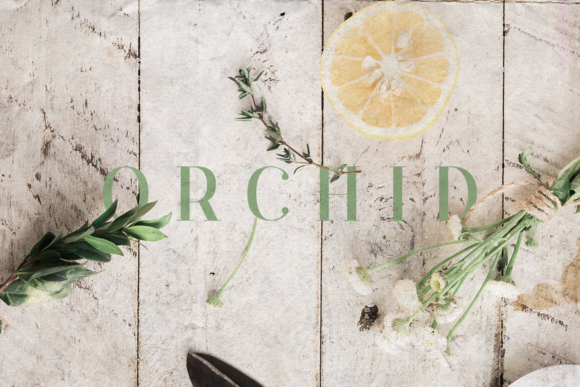 Orchid: A Serif Font That Blends Elegance with Everyday Versatility