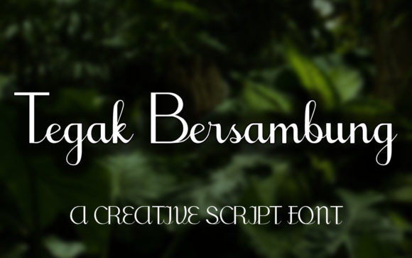 Tegak Bersambung: A Flowing Script Font Built for Real Creative Work